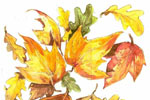 Illustration Aquarell Blätter